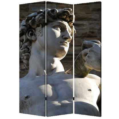 48" X 72" Multi Color Wood Canvas Rome  Screen