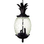 Clear and Black Three Light Pineapple Outdoor Hanging Pendent Light