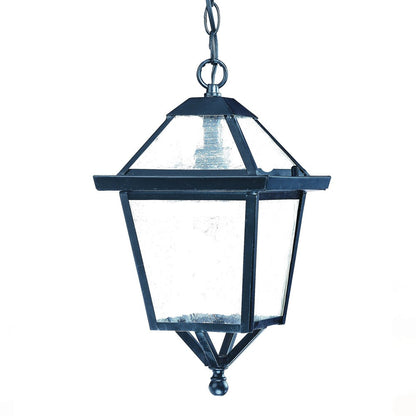 Matte Black Hanging Lantern Light